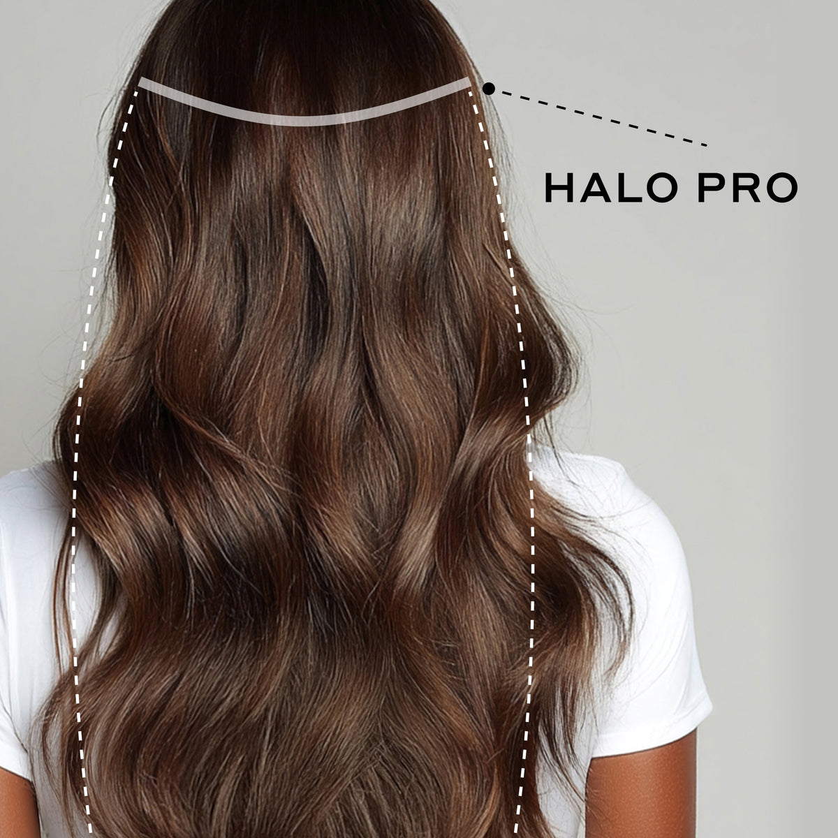 PDP_halopro_chocolatebrown_bac  display picture 2