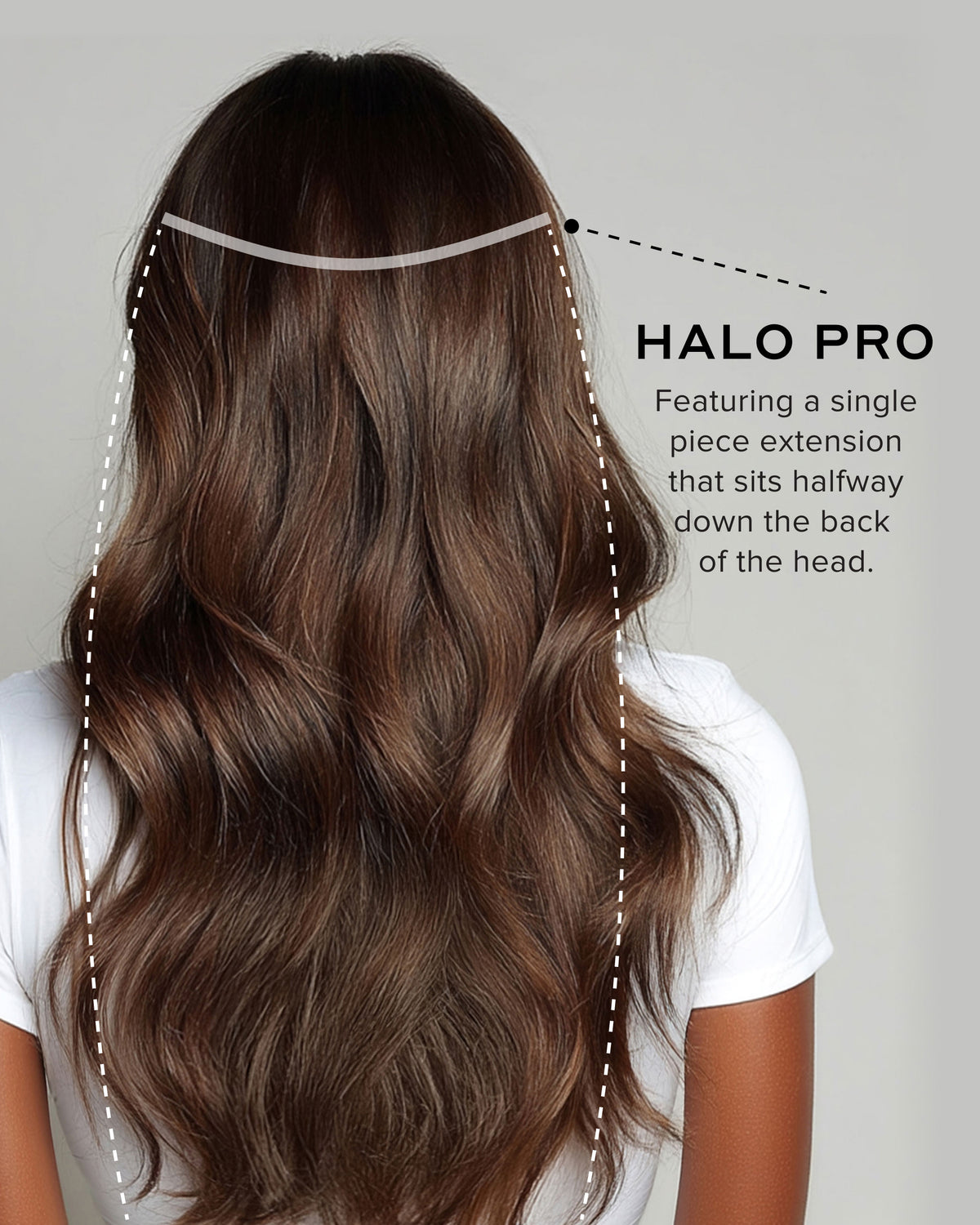 PDP_halopro_chocolatebrown_bac  display picture 2
