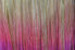 BELLAMI 160g 20" Ombre Dirty Blonde #18/Pastel Pink Hair Extensions