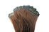 BELLAMI Tape in Extensions 50g 22" Chocolate Brown (4)