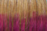 BELLAMI 220g 22" Ombre #6 - Chestnut Brown / Poisonberry Hair Extensions