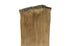 BELLAMI Tape in Extensions 50g 22" Ash Brown (8)