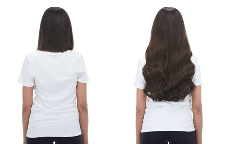 Maxima 260g 20" Dark Brown (2) Hair Extensions